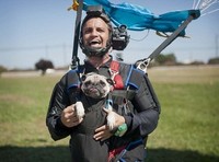 Ему бы в небо: американский пес увлекся прыжками с парашютом